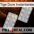Tige Dure Instantanée 17
